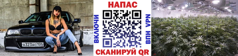 Продажа наркотиков Серов kraken рабочий сайт Мефедрон Гашиш A-PVP MDMA