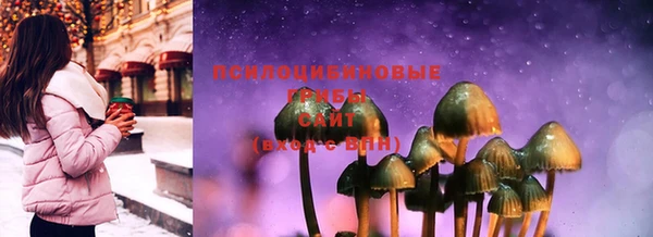 дживик Армянск