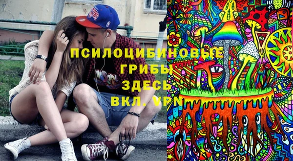 spice Кинешма
