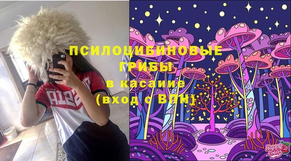 гидропоника Арсеньев