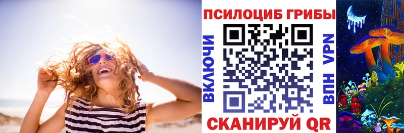 KRAKEN ссылки Серов Псилоцибиновые грибы Psilocybine cubensis