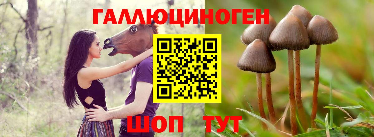 Серов  Псилоцибиновые грибы ЛСД  Галлюциногенные грибы Cubensis  Вход с VPN 