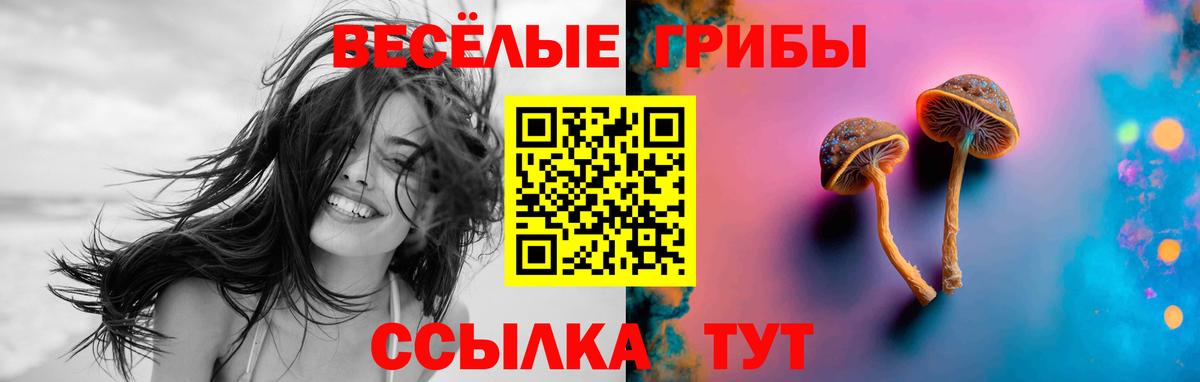 Галлюциногенные грибы Psilocybine cubensis Серов